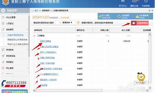 个税电脑系统可以补交的吗,个税系统能补报吗