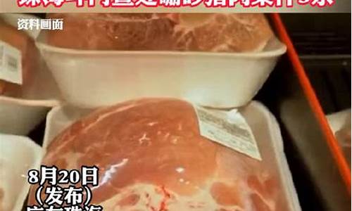 猪肉案件电脑系统-猪肉引发的血案