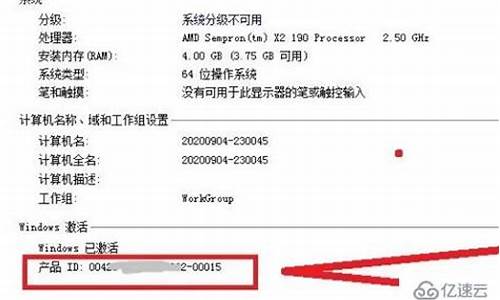 id是电脑系统什么意思啊-电脑中的id是什么意思啊