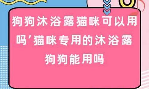 两块的电脑系统能用吗-两种电脑系统